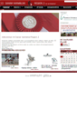 Mobile Screenshot of dvreg2.dk